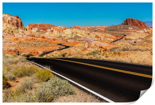 Desert Roads Print by David Hare