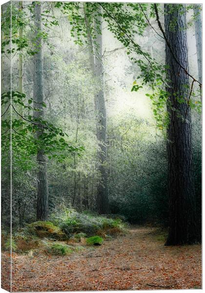 Faerie Forest Canvas Print by Ann Garrett