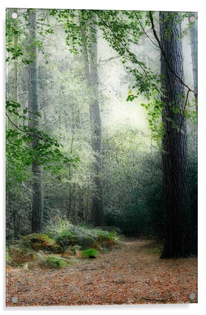 Faerie Forest Acrylic by Ann Garrett