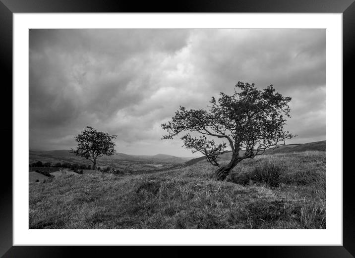 Trees on a Hill Framed Mounted Print by Kelly Bailey