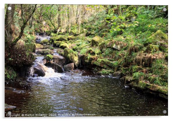 Burbage Brook, Padley Gorge Acrylic by Martyn Williams