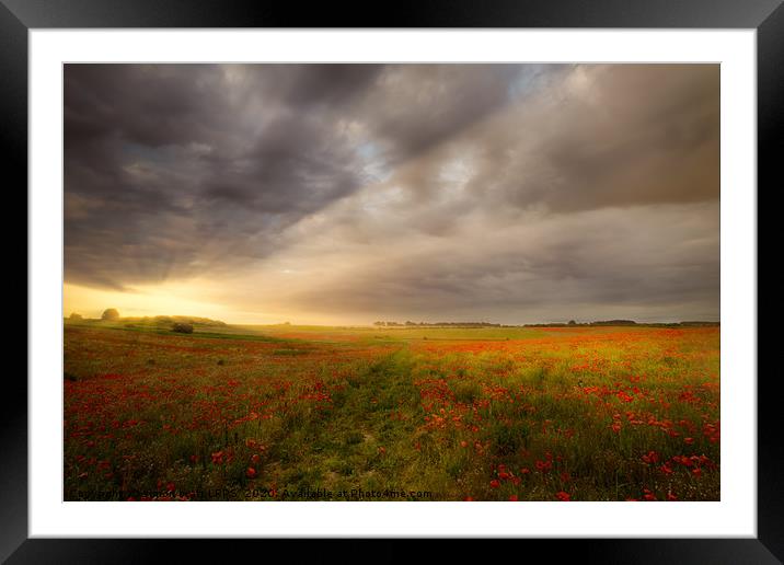 Gorgeous poppy field sunrise landscape Framed Mounted Print by Simon Bratt LRPS