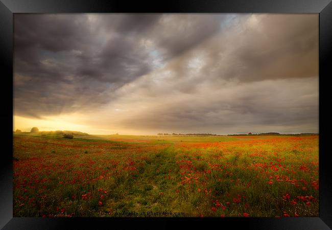Gorgeous poppy field sunrise landscape Framed Print by Simon Bratt LRPS