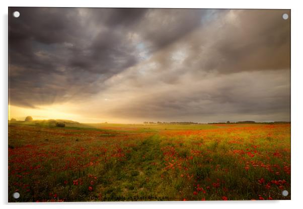 Gorgeous poppy field sunrise landscape Acrylic by Simon Bratt LRPS