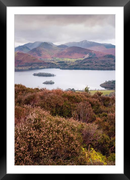View of Cat Bells, Robinson, Dale Head and other W Framed Mounted Print by Greg Marshall