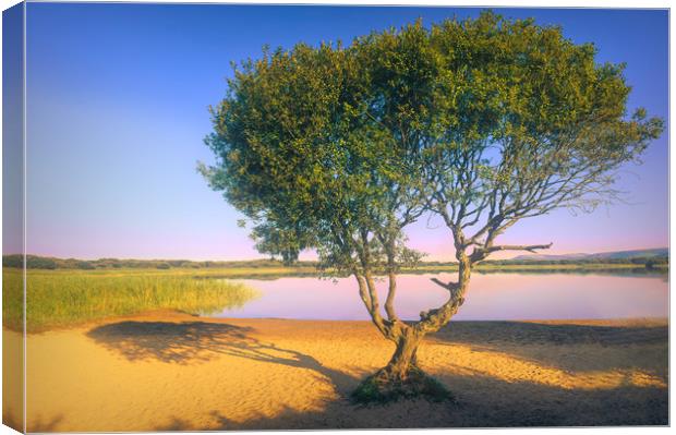 Kenfig Canvas Print by Richard Downs