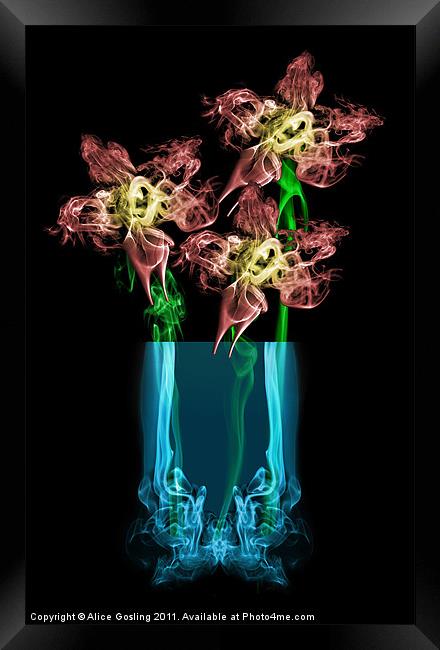 Smokey Flowers Framed Print by Alice Gosling