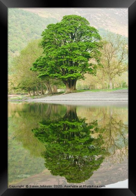 Tree reflections Buttermere Framed Print by Simon Johnson