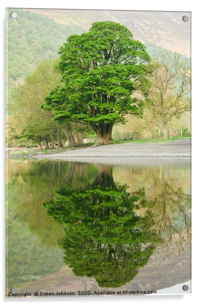 Tree reflections Buttermere Acrylic by Simon Johnson