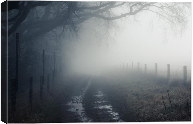 Into the Mist Canvas Print by David Wall