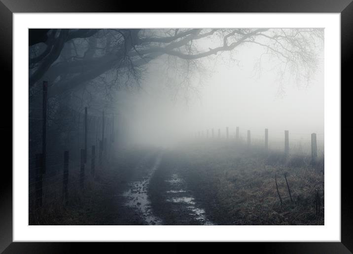 Into the Mist Framed Mounted Print by David Wall