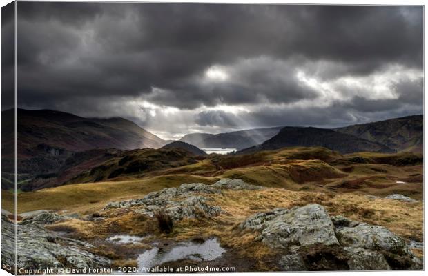 Lake District Light  Canvas Print by David Forster