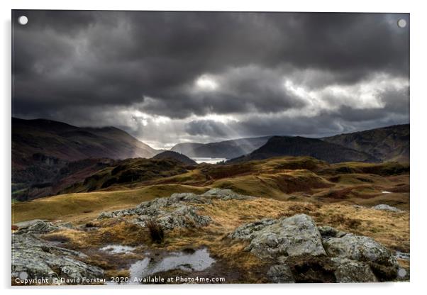 Lake District Light  Acrylic by David Forster