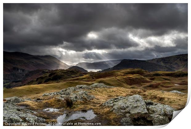 Lake District Light  Print by David Forster