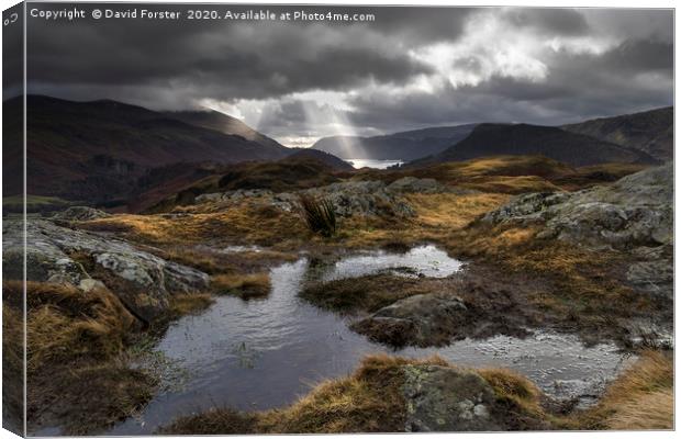 Lake District Light Canvas Print by David Forster