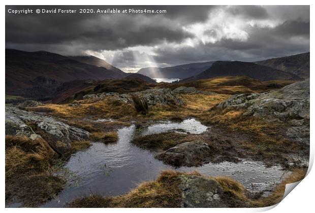 Lake District Light Print by David Forster
