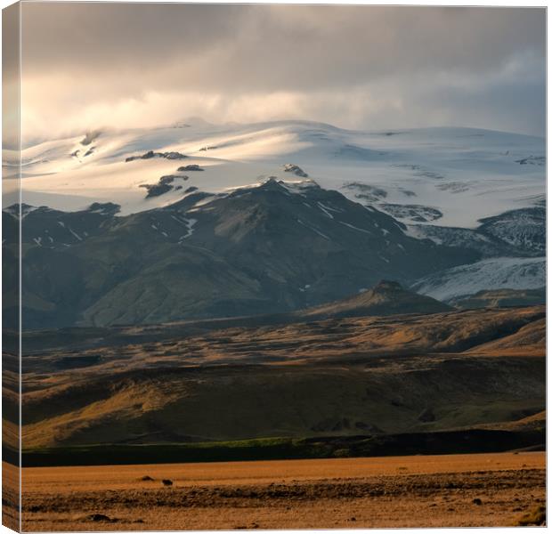 View of Eyjafjallajökull volcano Iceland Canvas Print by Greg Marshall