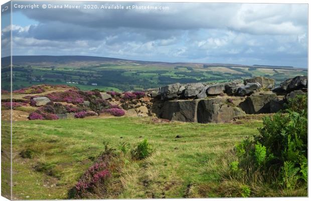 Ilkley Moor View Canvas Print by Diana Mower