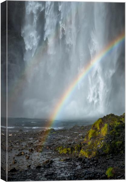 Skogafoss Rainbow waterfall Canvas Print by Greg Marshall