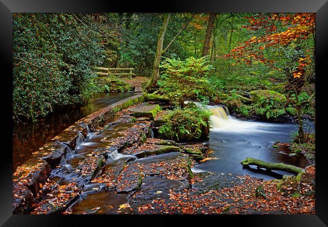  Third Coppice Weir in Autumn                      Framed Print by Darren Galpin