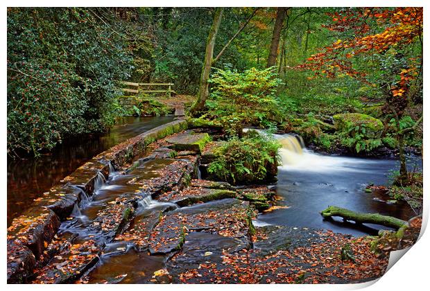  Third Coppice Weir in Autumn                      Print by Darren Galpin