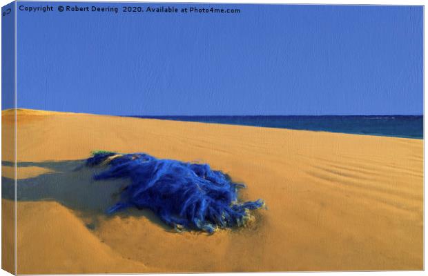 Discarded Fishing Net Dungeness Beach Canvas Print by Robert Deering
