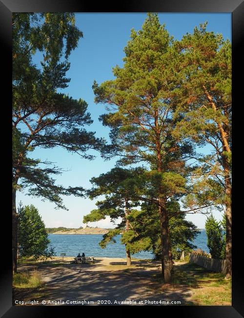 View from Sandhamn Framed Print by Angela Cottingham