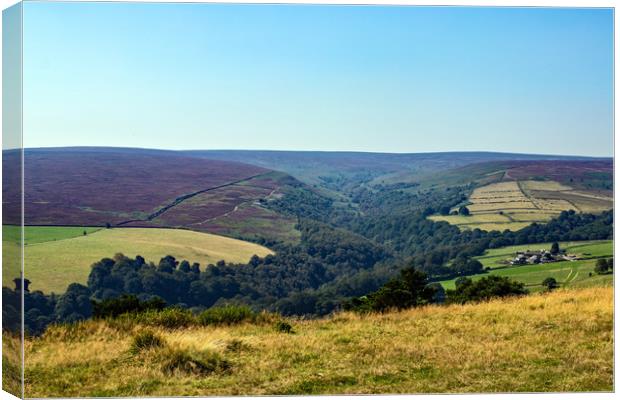 Whitwell Moor, Peak District, England Canvas Print by Hazel Wright