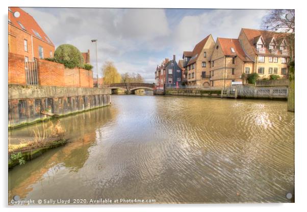 Norwich city river view Acrylic by Sally Lloyd