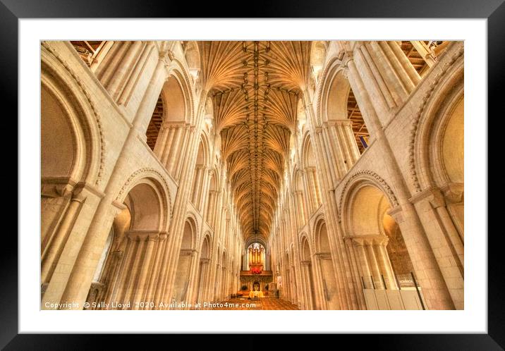Norwich Cathedral  Framed Mounted Print by Sally Lloyd