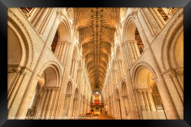 Norwich Cathedral  Framed Print by Sally Lloyd