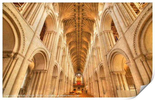 Norwich Cathedral  Print by Sally Lloyd