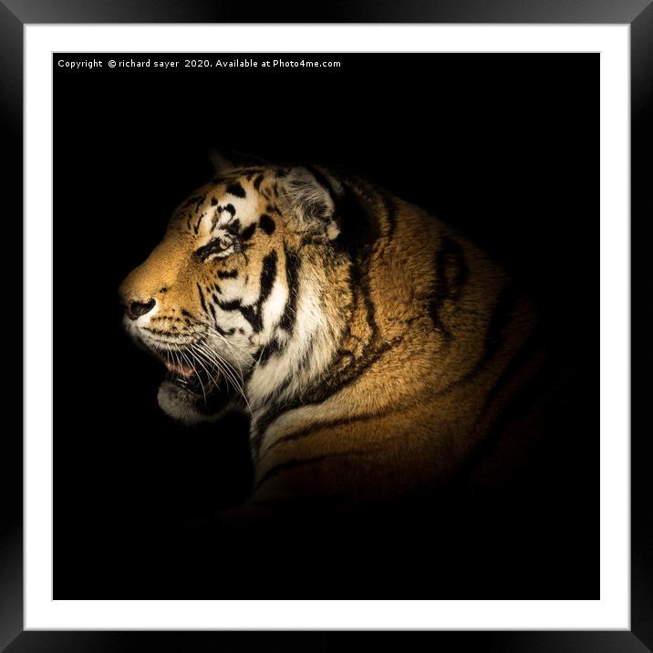 Burning Bright Framed Mounted Print by richard sayer