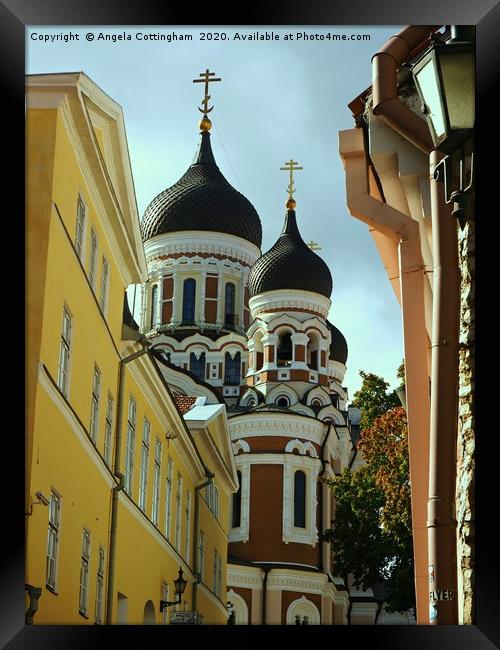 Tallinn Old Town        Framed Print by Angela Cottingham