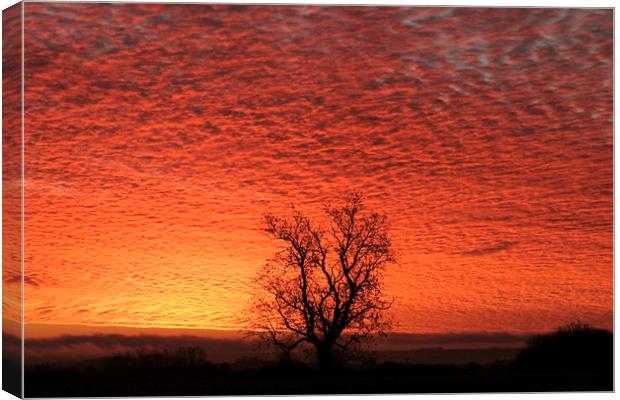 Sunrise sky Canvas Print by Simon Johnson