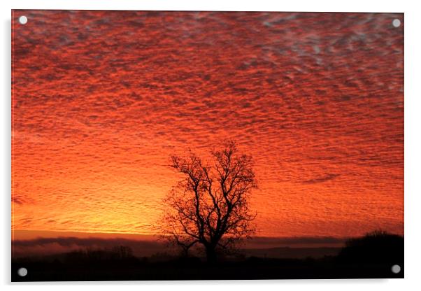Sunrise sky Acrylic by Simon Johnson