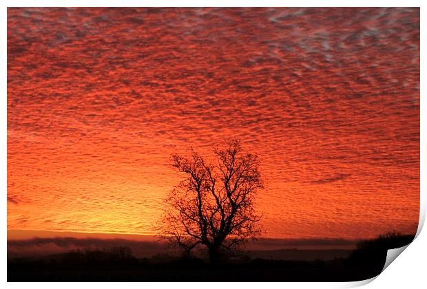 Sunrise sky Print by Simon Johnson