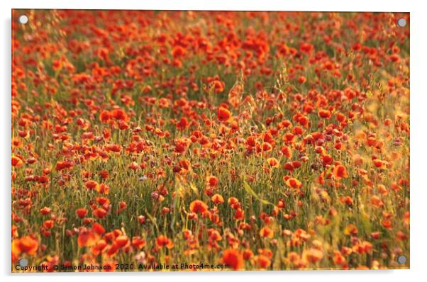 poppy field Acrylic by Simon Johnson