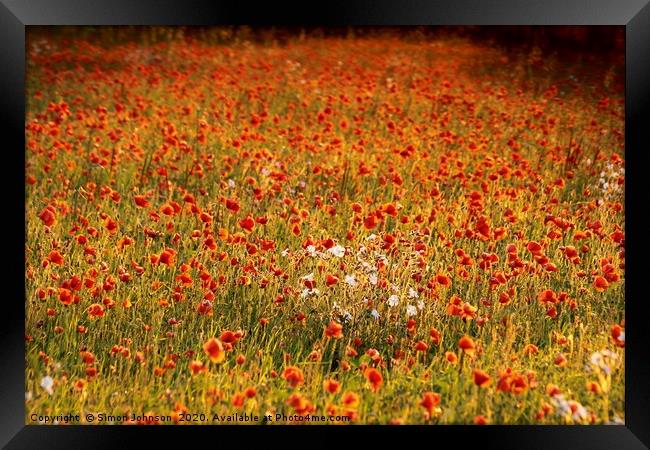 impressionist image of poppy field Framed Print by Simon Johnson