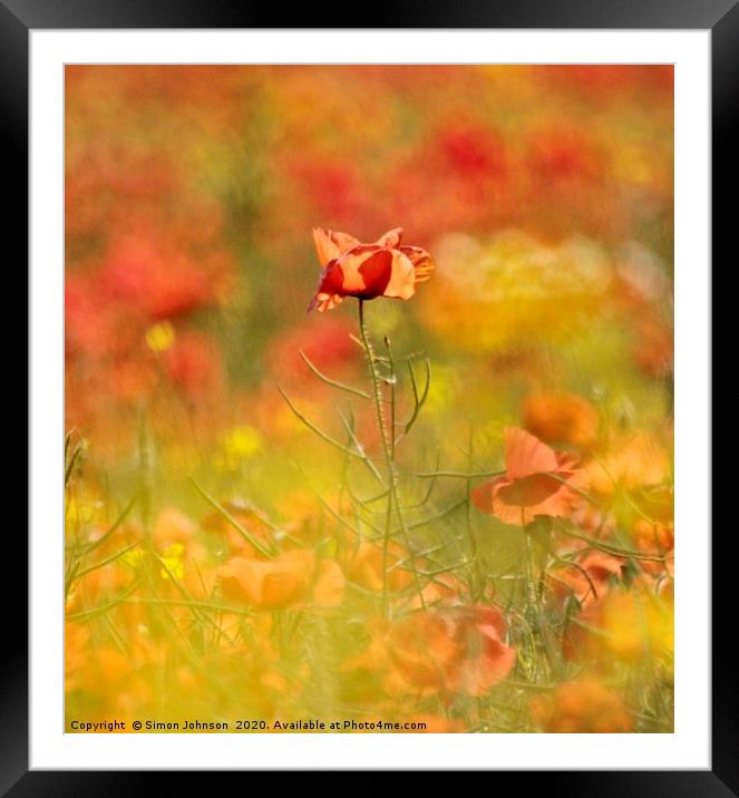 impressionist image of poppy Framed Mounted Print by Simon Johnson