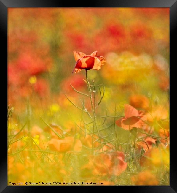 impressionist image of poppy Framed Print by Simon Johnson