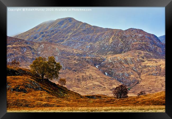 Lonely Trees in the Hills Framed Print by Robert Murray