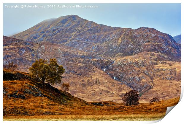 Lonely Trees in the Hills Print by Robert Murray