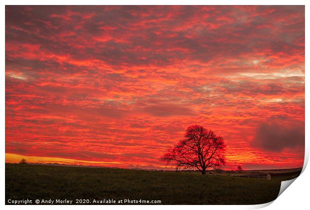 Shepherd's Delight Print by Andy Morley