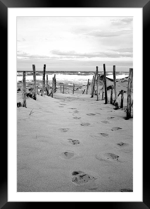 Footprints in the Sand Framed Mounted Print by David Gardener