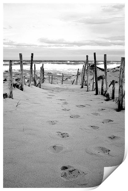 Footprints in the Sand Print by David Gardener