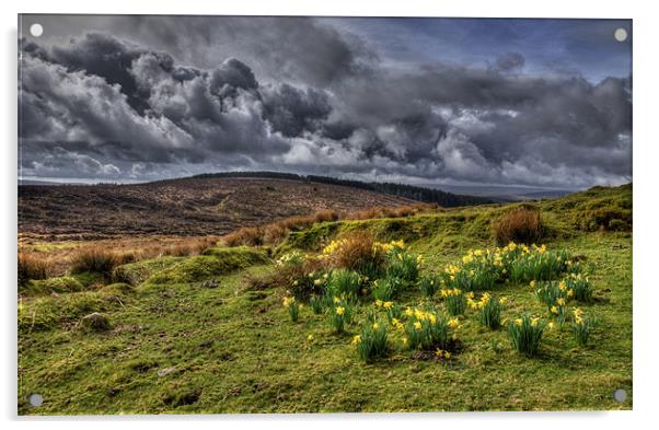 Springtime on the moors Acrylic by Rob Hawkins