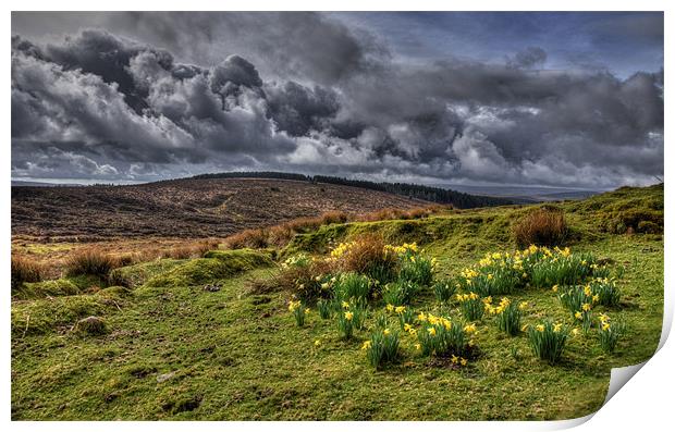 Springtime on the moors Print by Rob Hawkins