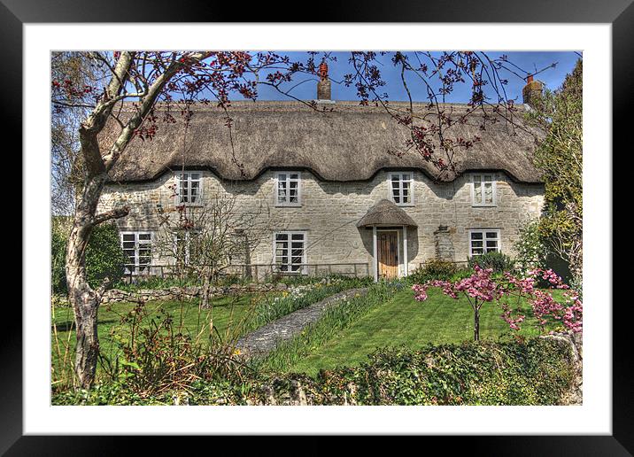 English Country Cottage Framed Mounted Print by Nicola Clark