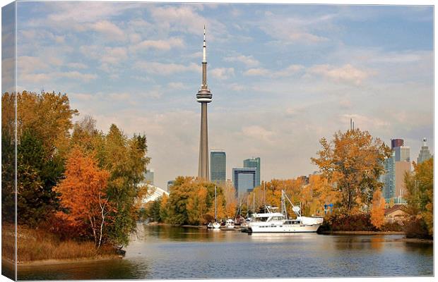 Toronto Skyline from Center Island Canvas Print by David Gardener